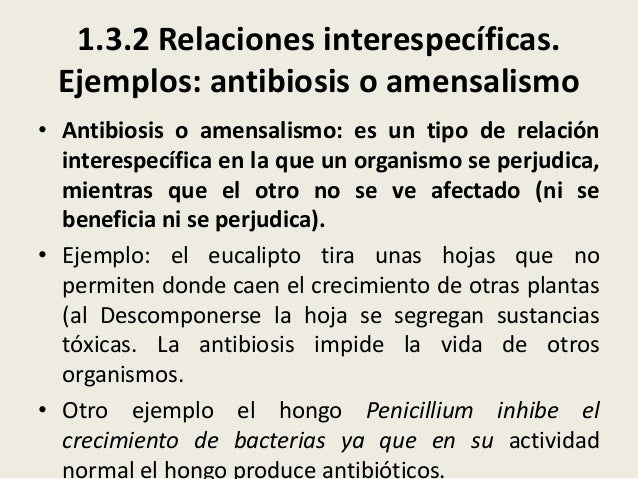 antibiosis definicion